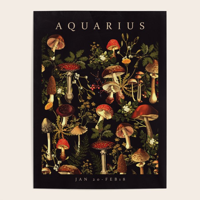 AQUARIUS II Poster Gallery Image 4