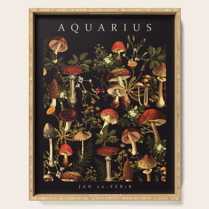 AQUARIUS II Serving Tray Gallery Image 1