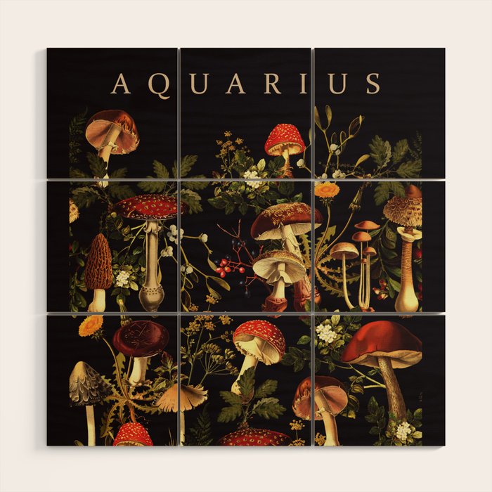 AQUARIUS II Wood Wall Art Gallery Image 1