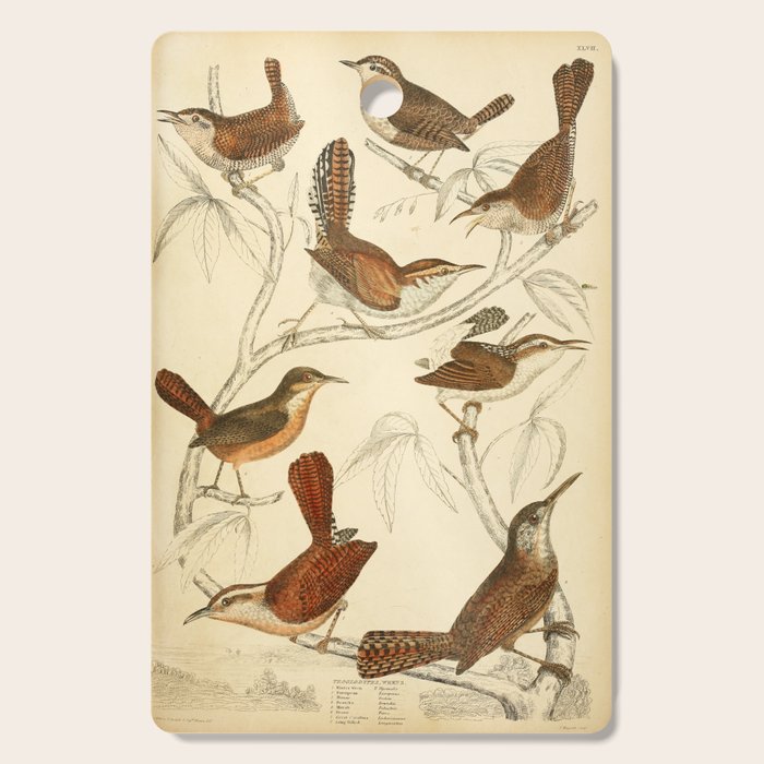 Wrens from The Edinburgh Journal, 1835 (benefitting The Nature Conservancy) Cutting Board Gallery Image 1