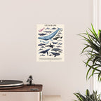 CETACEANS POSTER beige and text Poster Gallery Image 2