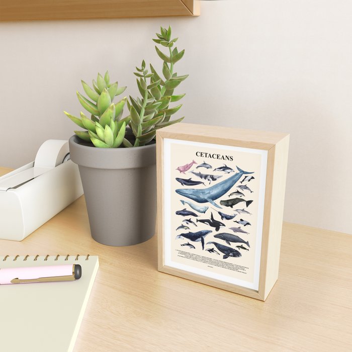 CETACEANS POSTER beige and text Mini Art Print Gallery Image 2