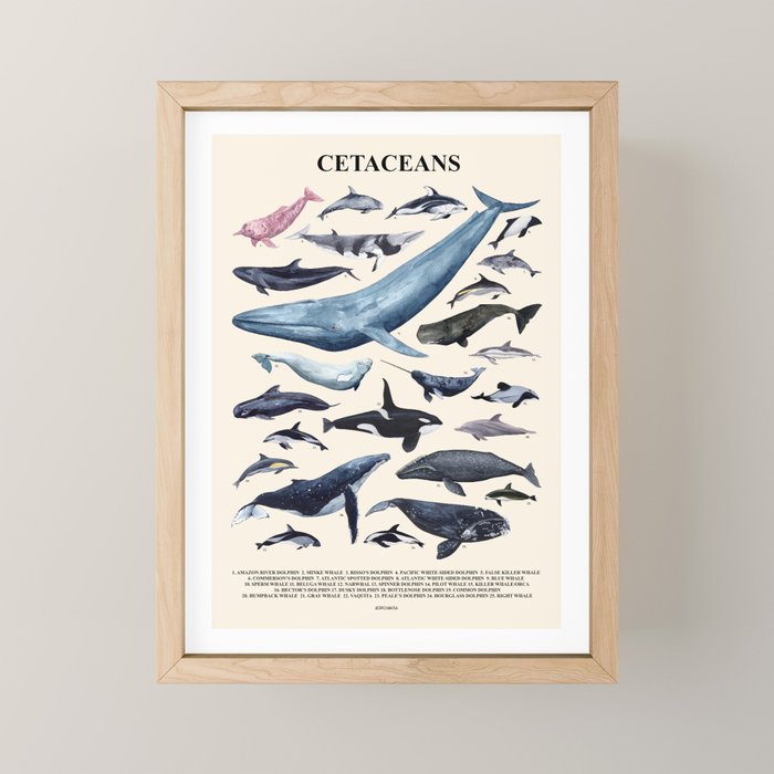 CETACEANS POSTER beige and text Mini Art Print Gallery Image 1