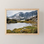 Medicine Bow National Forest Mini Art Print Gallery Image 1
