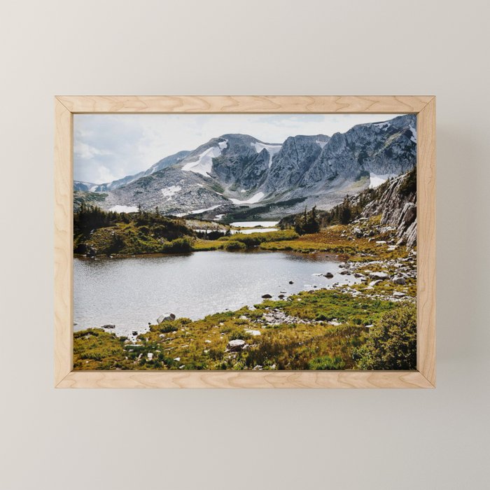 Medicine Bow National Forest Mini Art Print Gallery Image 1