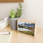 Medicine Bow National Forest Mini Art Print Gallery Image 2