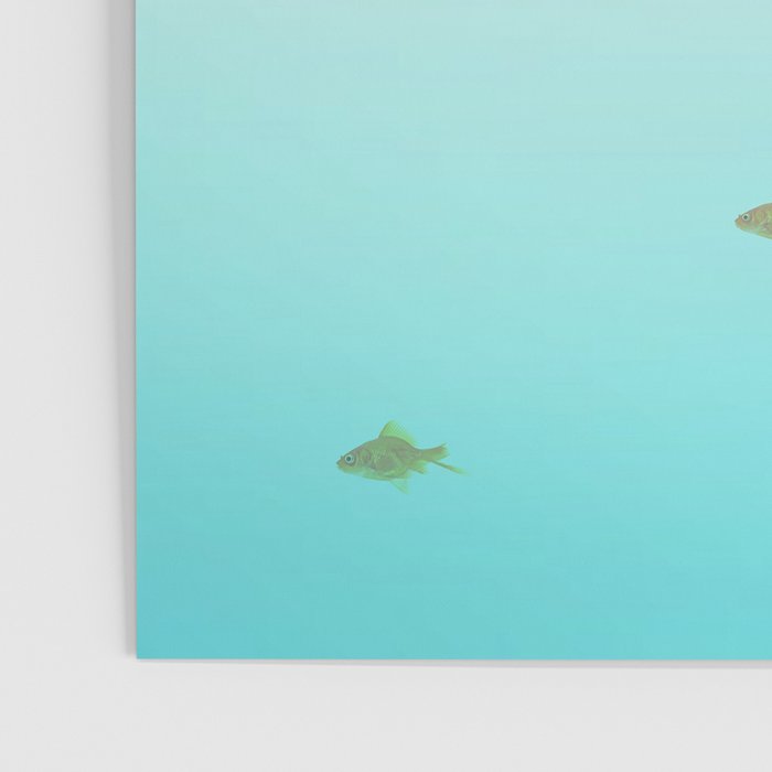 goldfish with a shark fin Poster Gallery Image 3