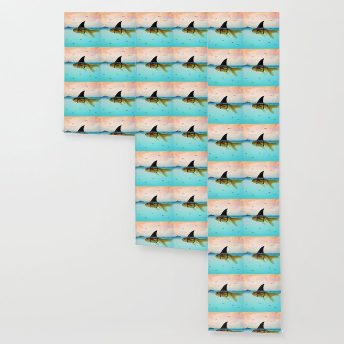 goldfish with a shark fin Wallpaper Gallery Image 3