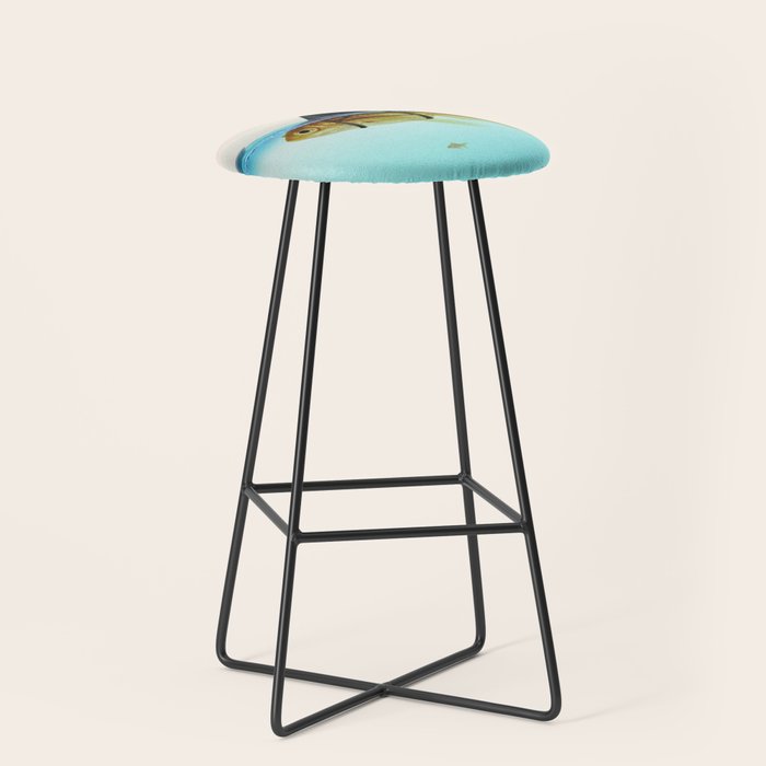 goldfish with a shark fin Stool Gallery Image 1
