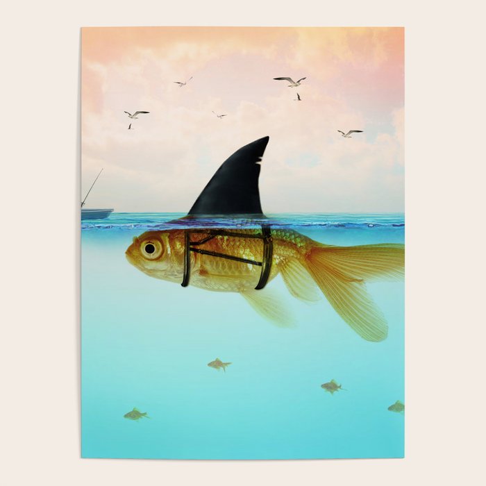 goldfish with a shark fin Poster Gallery Image 4