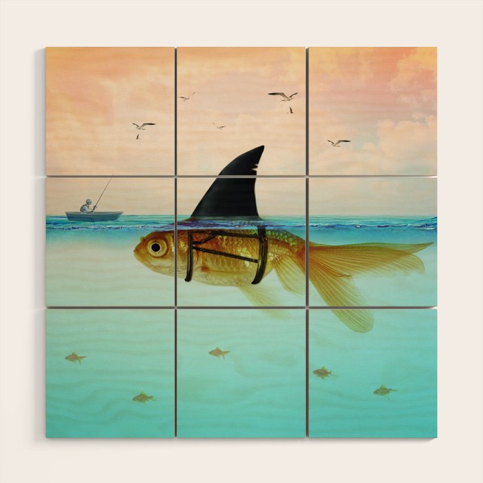 goldfish with a shark fin Wood Wall Art Gallery Image 1