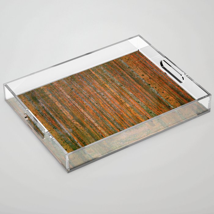 Gustav Klimt "Fir Forest" Acrylic Tray Gallery Image 1