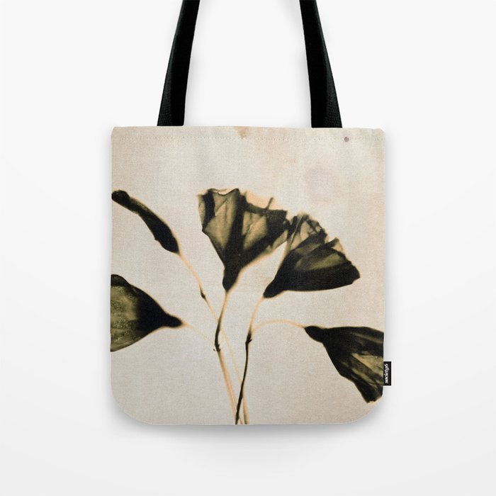 Magic in the Ordinary #8 / Light Tote Bag Gallery Image 1