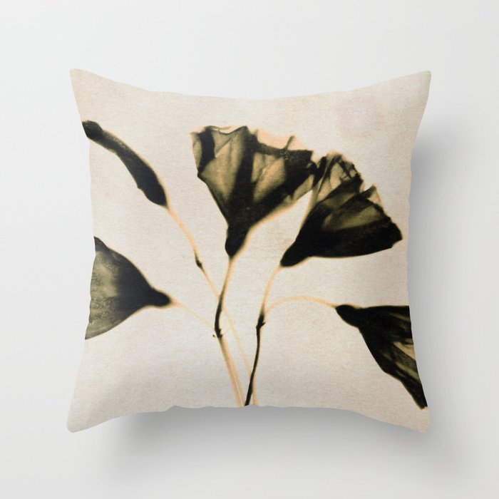 Magic in the Ordinary #8 / Light Throw Pillow Gallery Image 6