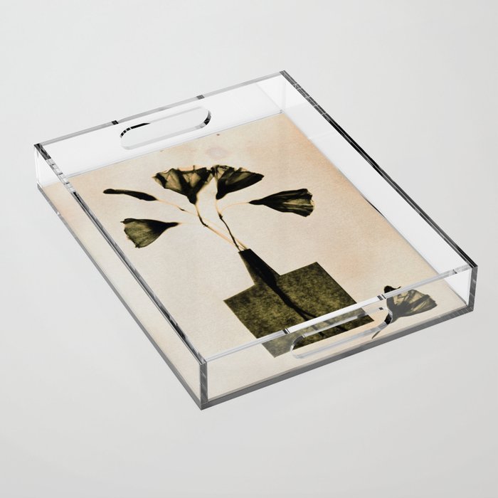 Magic in the Ordinary #8 / Light Acrylic Tray Gallery Image 1