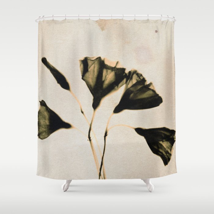 Magic in the Ordinary #8 / Light Shower Curtain Gallery Image 1