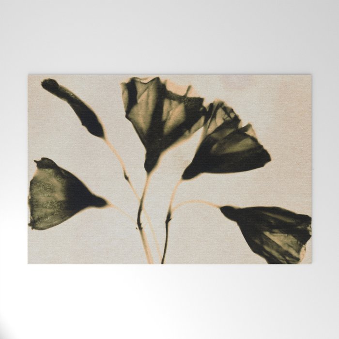 Magic in the Ordinary #8 / Light Welcome Mat Gallery Image 1