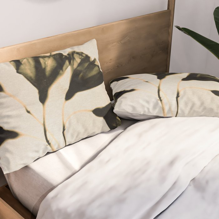 Magic in the Ordinary #8 / Light Pillow Sham Gallery Image 2