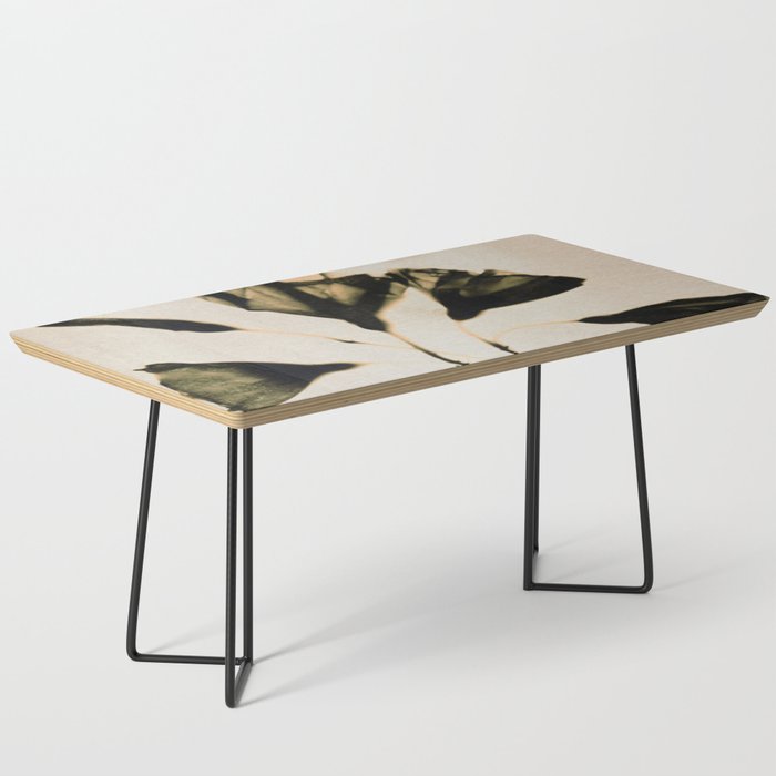 Magic in the Ordinary #8 / Light Coffee Table Gallery Image 1