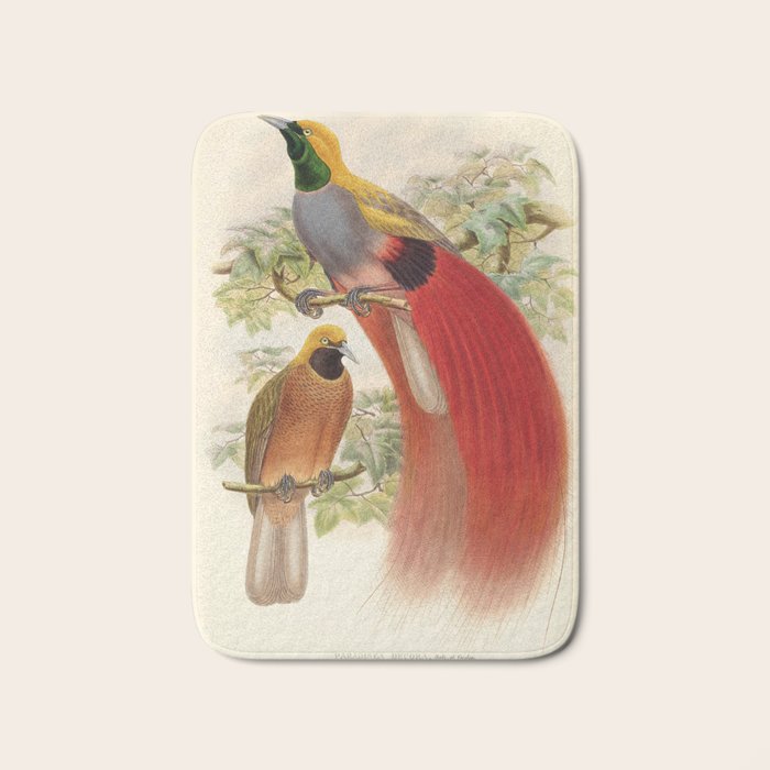 Birds-of-paradise (Paradisea Decora) by John Gould, 1875-1888 (benefitting the Nature Conservancy) Bath Mat Gallery Image 1