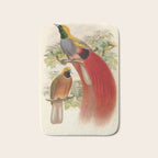 Birds-of-paradise (Paradisea Decora) by John Gould, 1875-1888 (benefitting the Nature Conservancy) Bath Mat Gallery Image 1