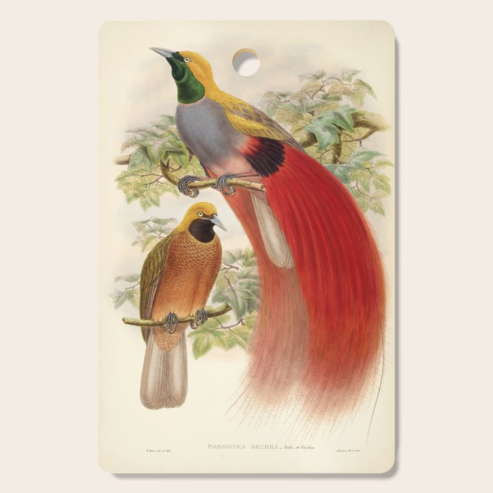Birds-of-paradise (Paradisea Decora) by John Gould, 1875-1888 (benefitting the Nature Conservancy) Cutting Board Gallery Image 1