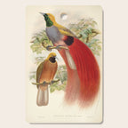 Birds-of-paradise (Paradisea Decora) by John Gould, 1875-1888 (benefitting the Nature Conservancy) Cutting Board Gallery Image 1