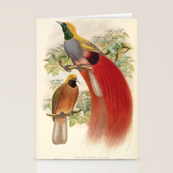 Birds-of-paradise (Paradisea Decora) by John Gould, 1875-1888 (benefitting the Nature Conservancy) Stationery Card Gallery Image 1