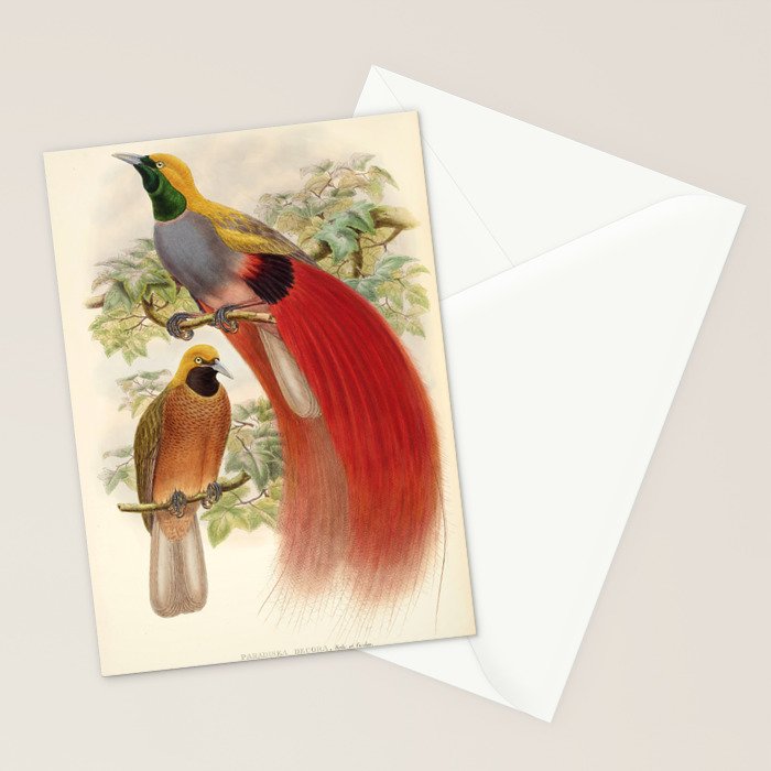Birds-of-paradise (Paradisea Decora) by John Gould, 1875-1888 (benefitting the Nature Conservancy) Stationery Card Gallery Image 2