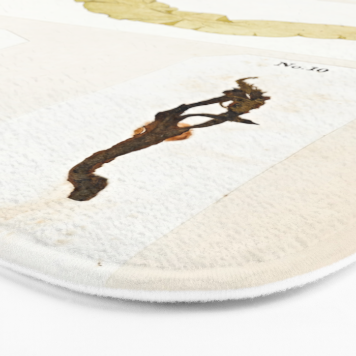 Specimens from "Algology: Algae and Corallines from the Bay & Harbor of New York," 1850 Bath Mat Gallery Image 3