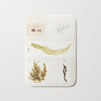 Specimens from "Algology: Algae and Corallines from the Bay & Harbor of New York," 1850 Bath Mat Gallery Image 1