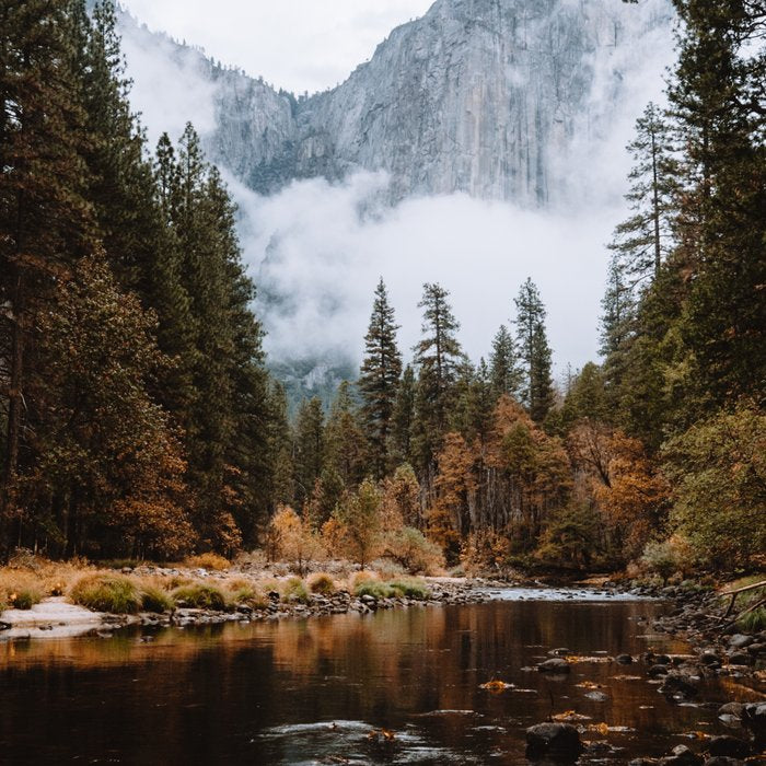 Autumn in Yosemite Coffee Mug Gallery Image 2