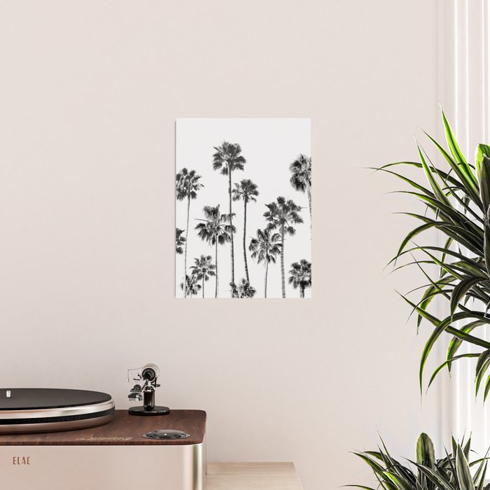 Black & White Palms 3 Poster Gallery Image 2
