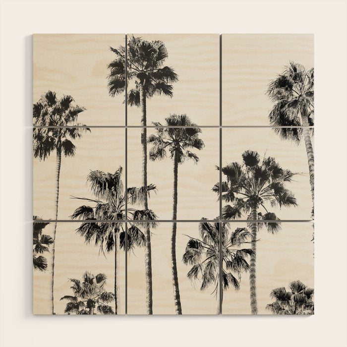 Black & White Palms 3 Wood Wall Art Gallery Image 1