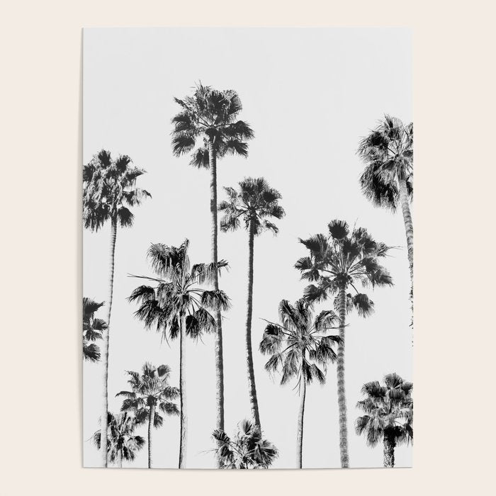Black & White Palms 3 Poster Gallery Image 4