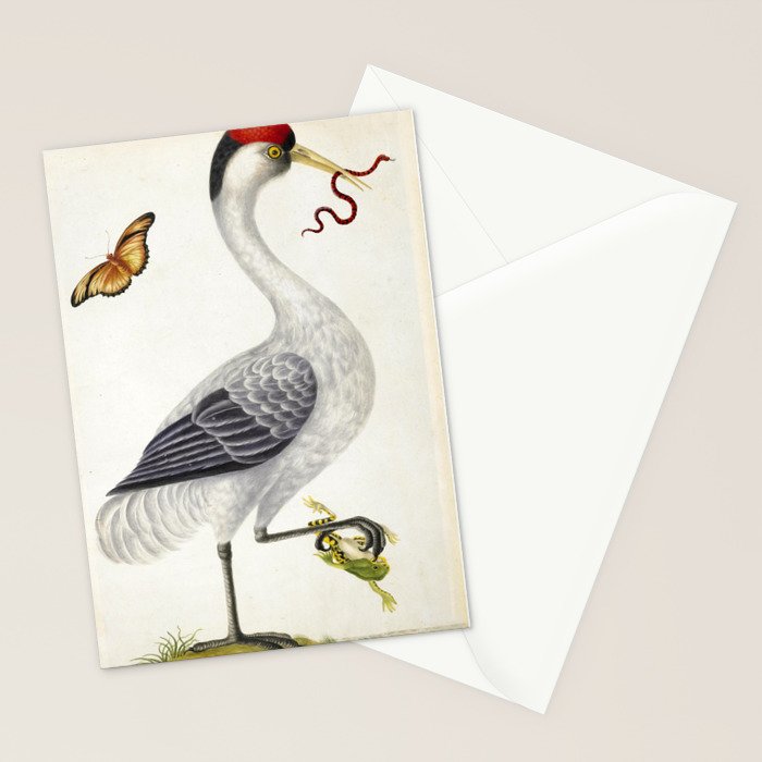 Red-crowned crane by Dorothea Maria Graff, early 1700s Stationery Card Gallery Image 2