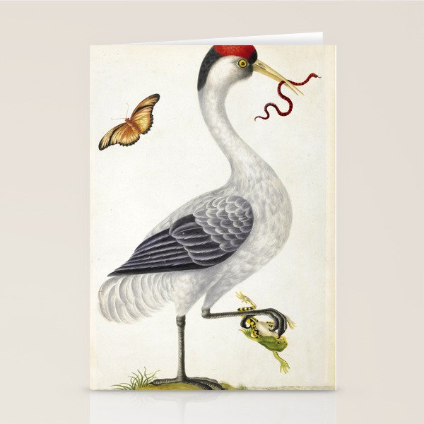 Red-crowned crane by Dorothea Maria Graff, early 1700s Stationery Card Gallery Image 2