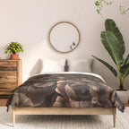 Nocturnal Twilight Brown Petals Floral Elegance Comforter Gallery Image 3