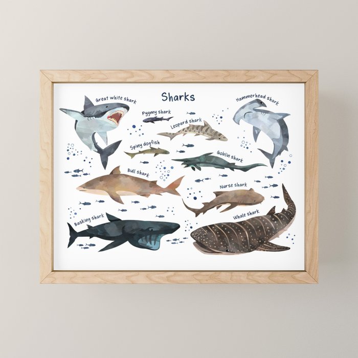 Shark watercolor sea life print, types of sharks, ocean theme kids room Mini Art Print