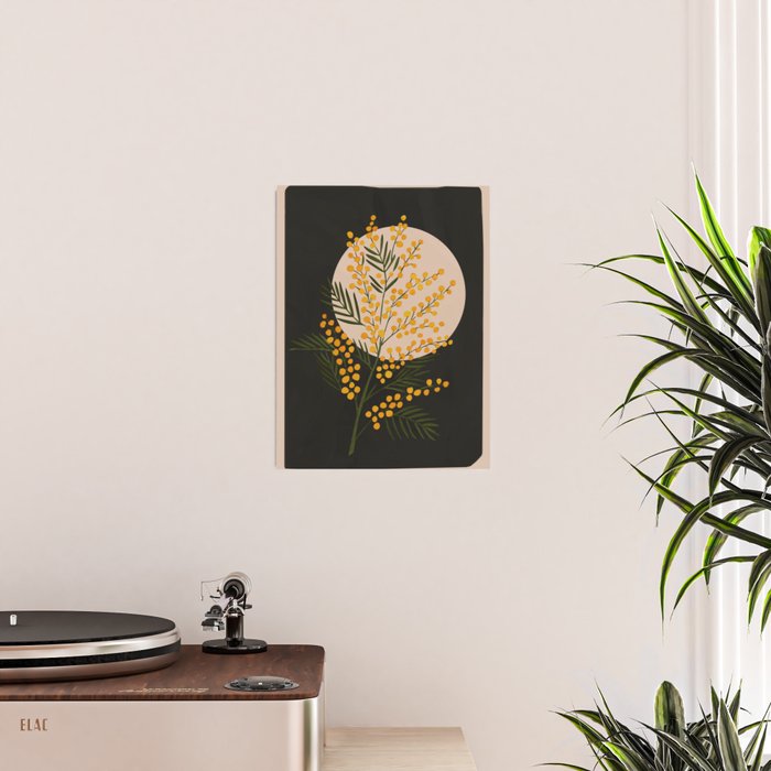 The Mimosa 1 Poster Gallery Image 2