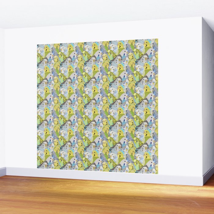 Budgie Parakeets Wall Mural Gallery Image 2