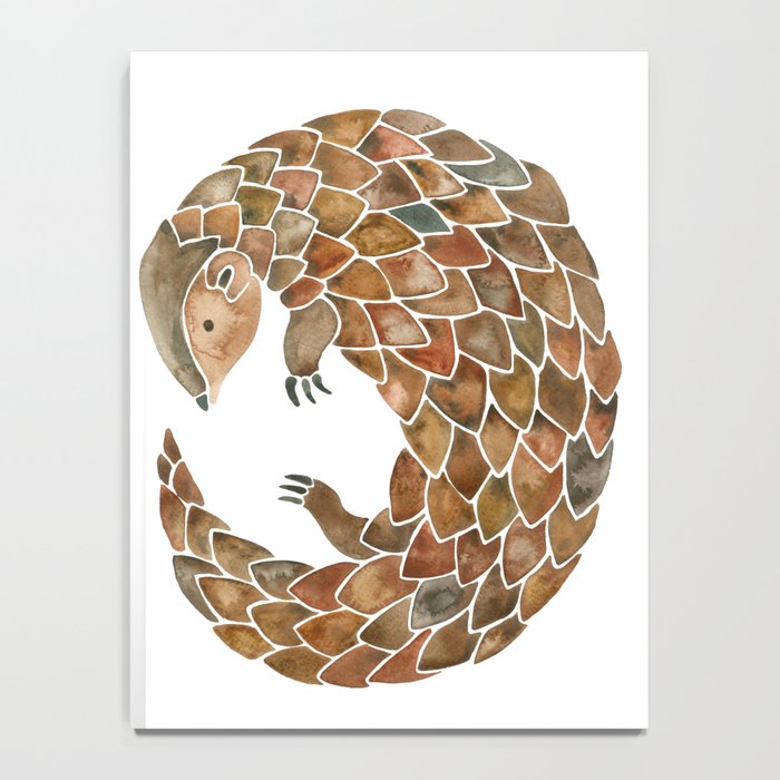 Pangolin Notebook Gallery Image 4