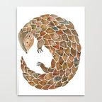 Pangolin Notebook Gallery Image 4