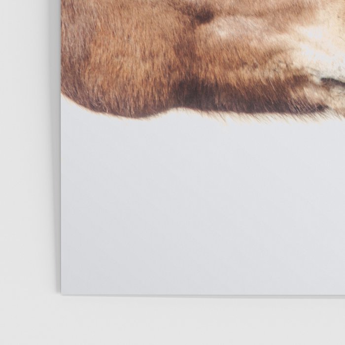 Horse Love Poster Gallery Image 3