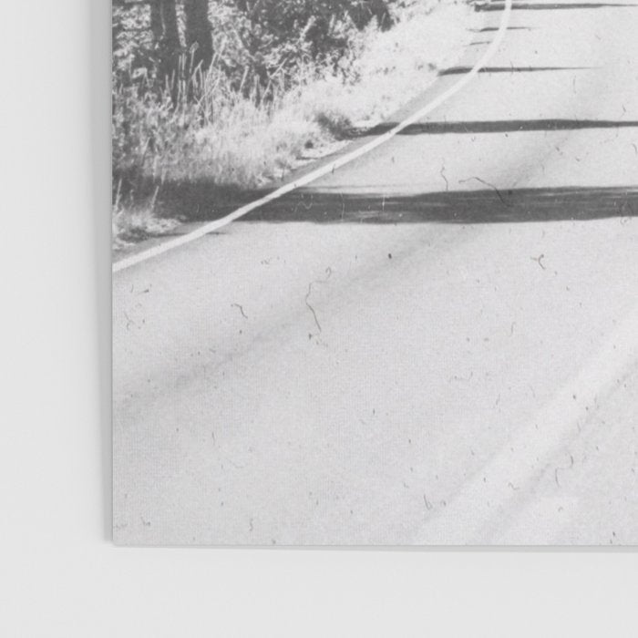ROAD TRIP X Poster Gallery Image 3