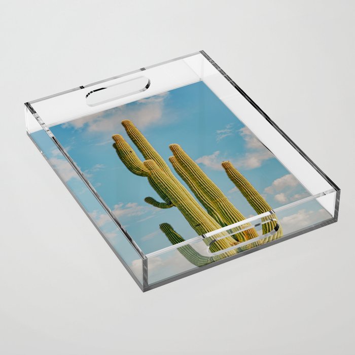 SKY CACTUS Acrylic Tray Gallery Image 1