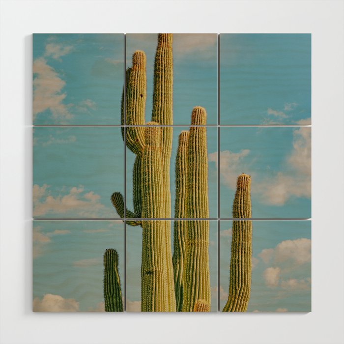 SKY CACTUS Wood Wall Art Gallery Image 1