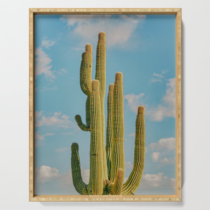 SKY CACTUS Serving Tray Gallery Image 1