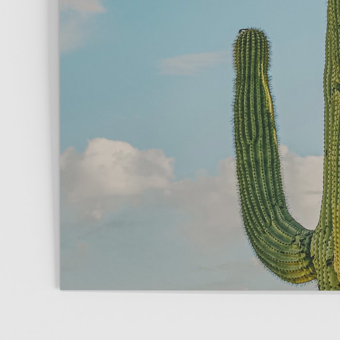SKY CACTUS Poster Gallery Image 3