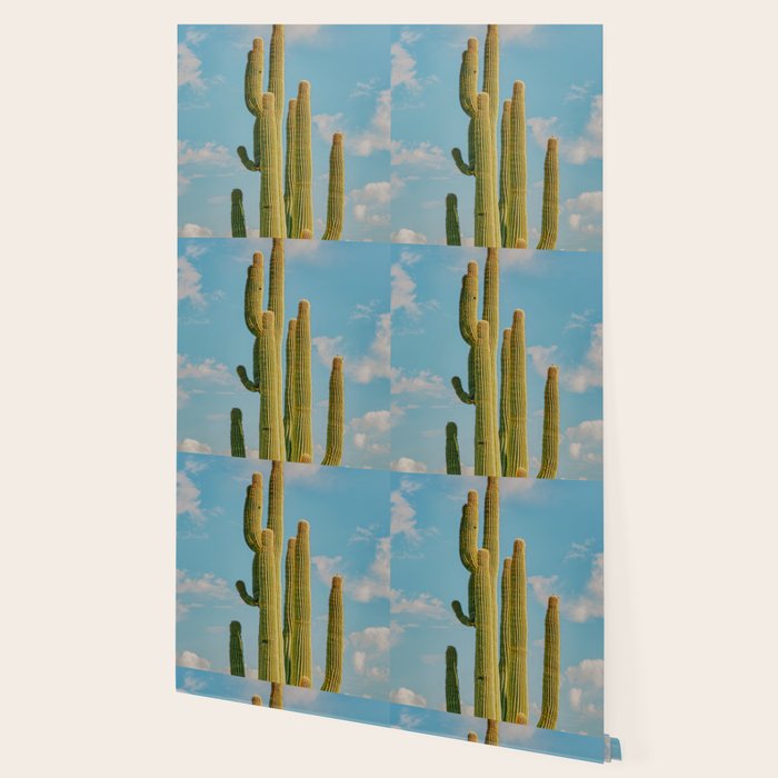 SKY CACTUS Wallpaper Gallery Image 2